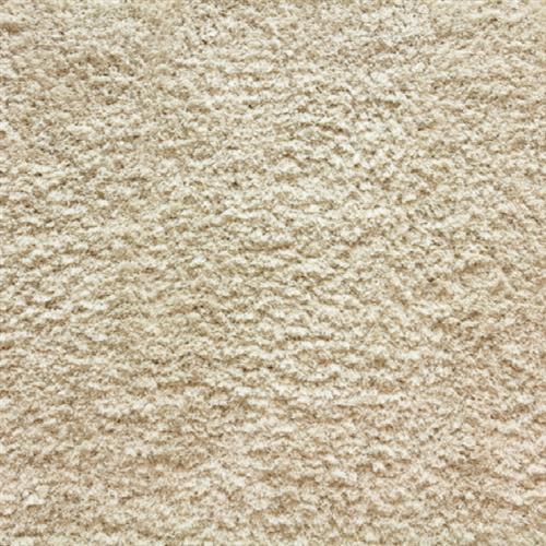 Shaggy Posh in Ivory Carpet