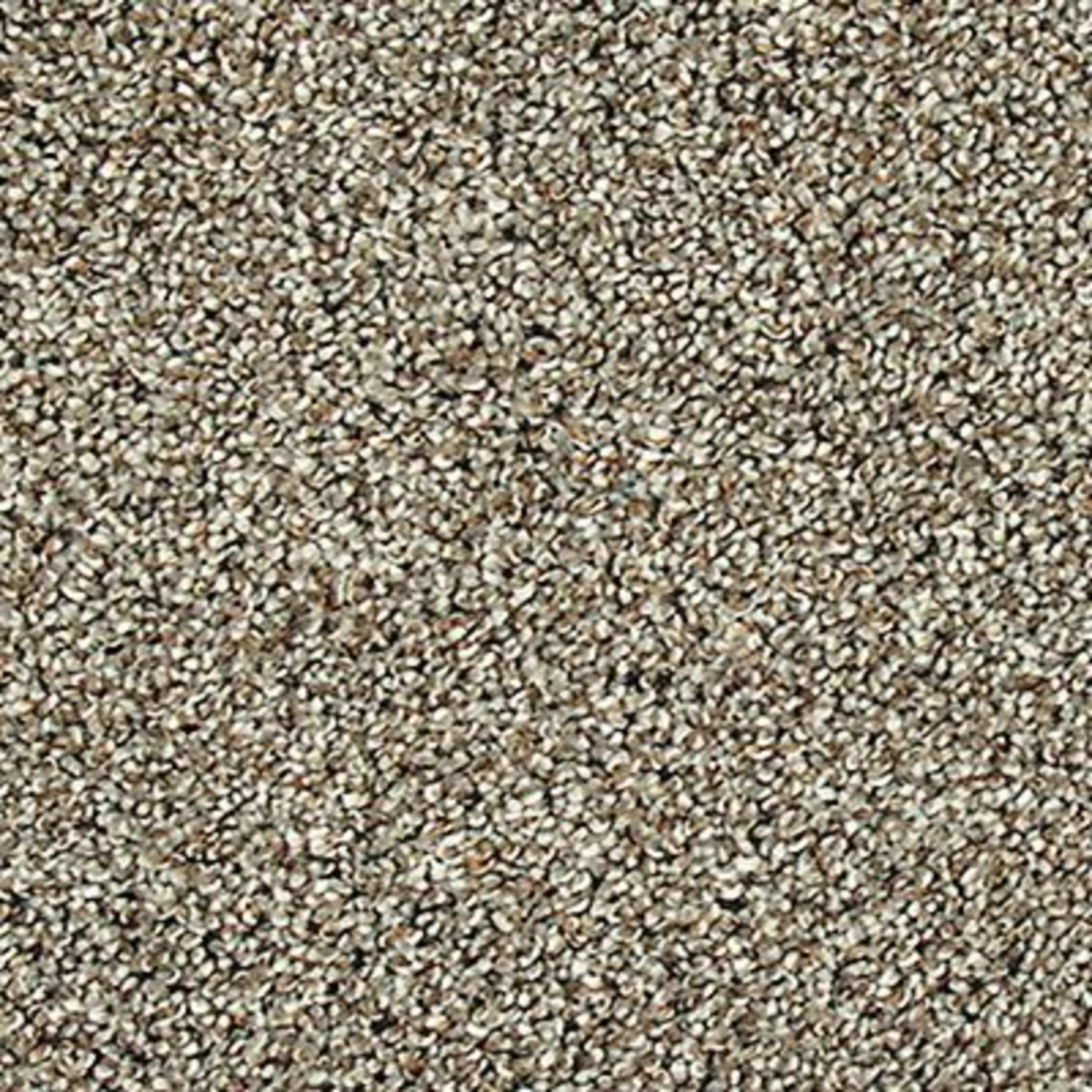 Soft Description I in London Fog Carpet