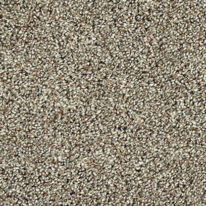 Soft Description I in London Fog Carpet