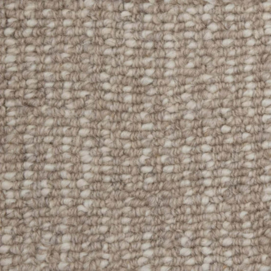 Sonata in Bronze Carpet