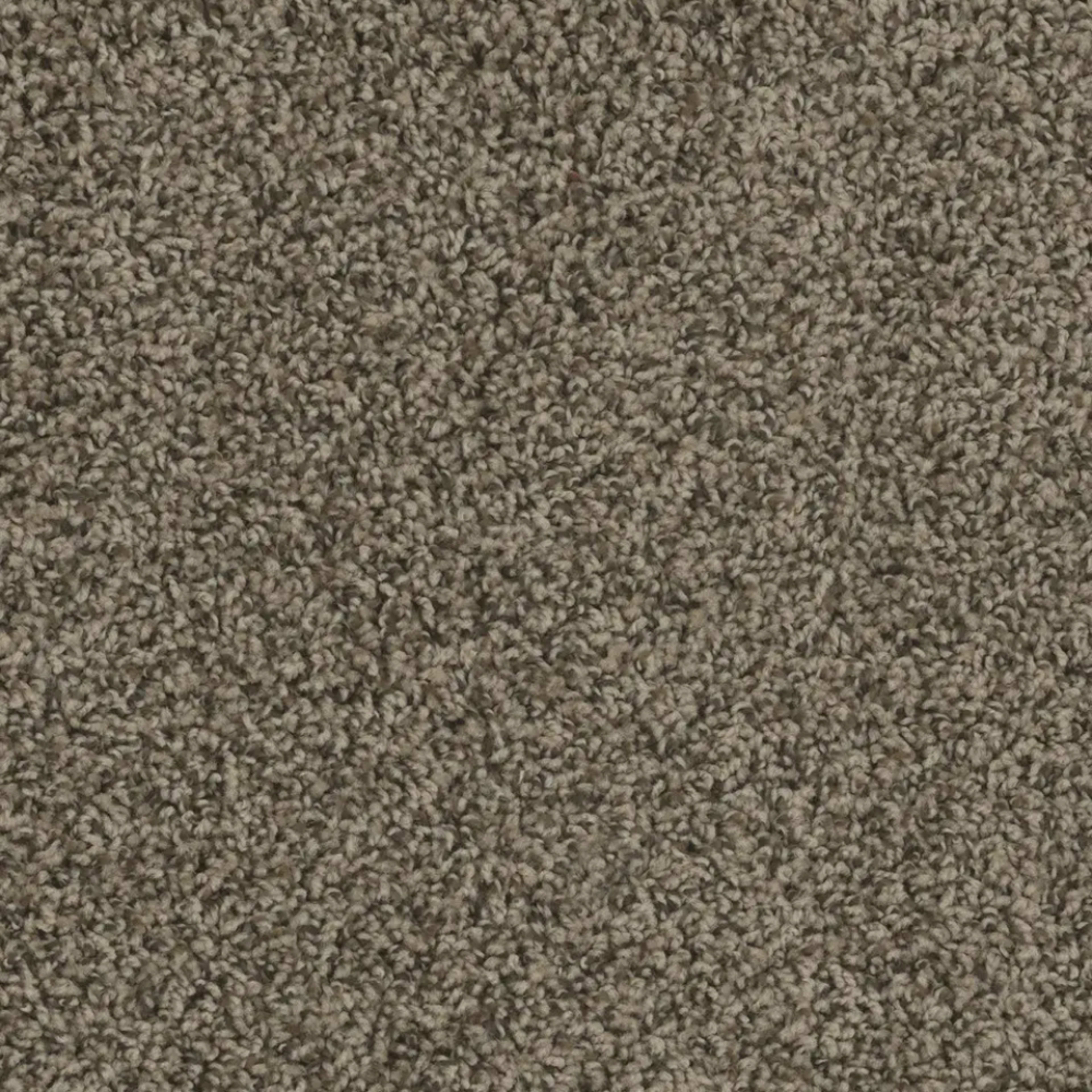 SP250 in Agate Carpet