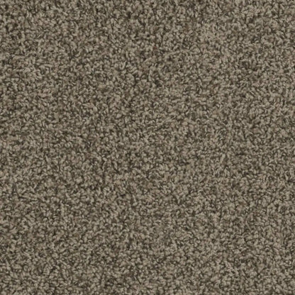 SP250 in Agate Carpet