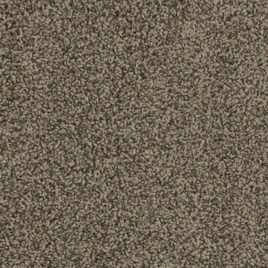 SP250 in Agate Carpet