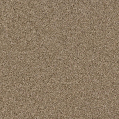 SP250