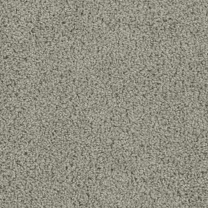 SP250