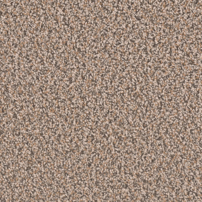 SP250