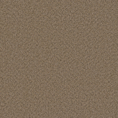 SP250