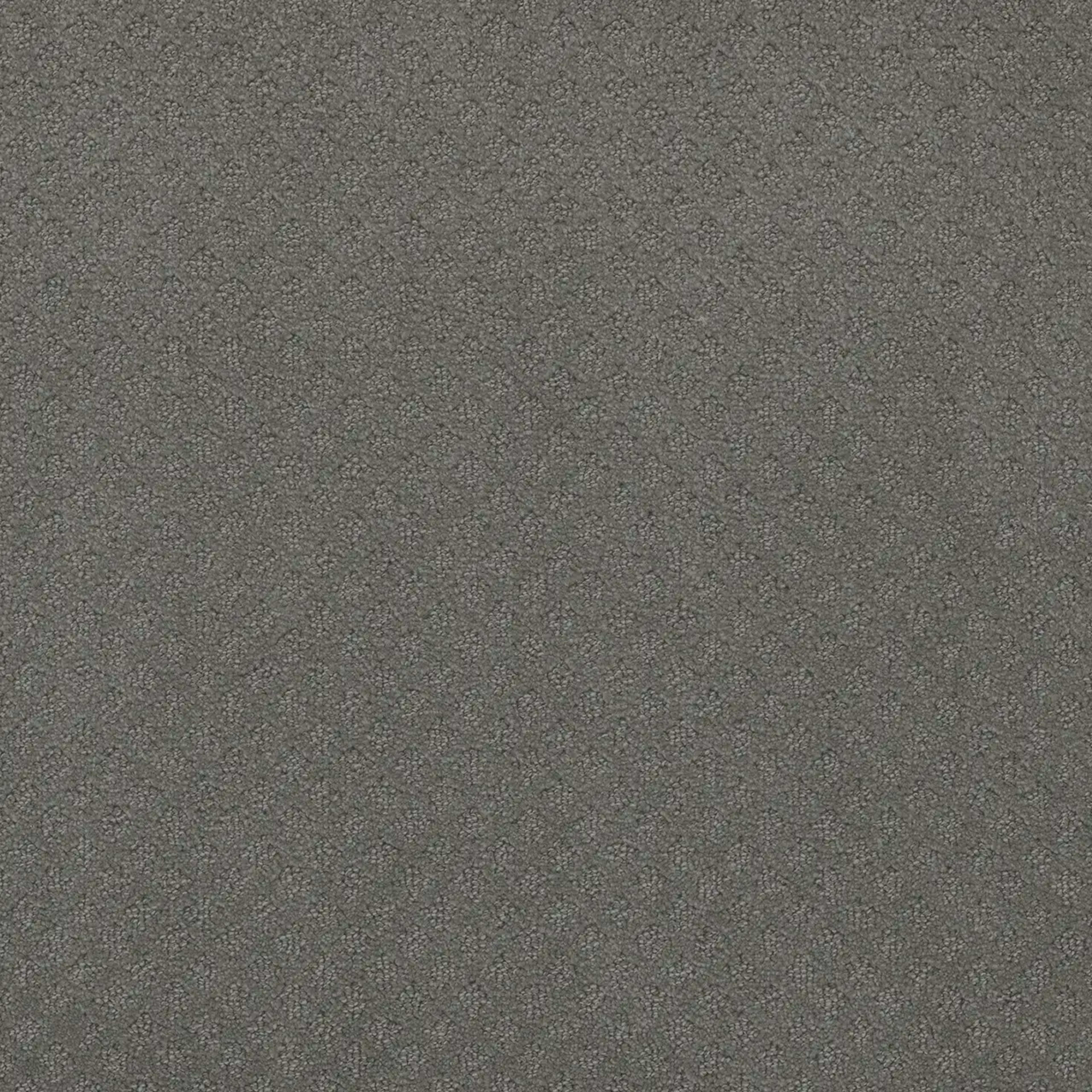 Stellar in Skyway Carpet