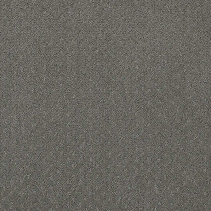 Stellar in Skyway Carpet