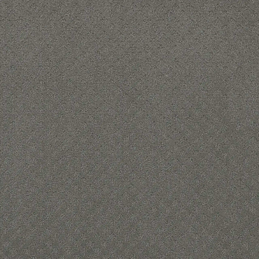 Stellar in Skyway Carpet
