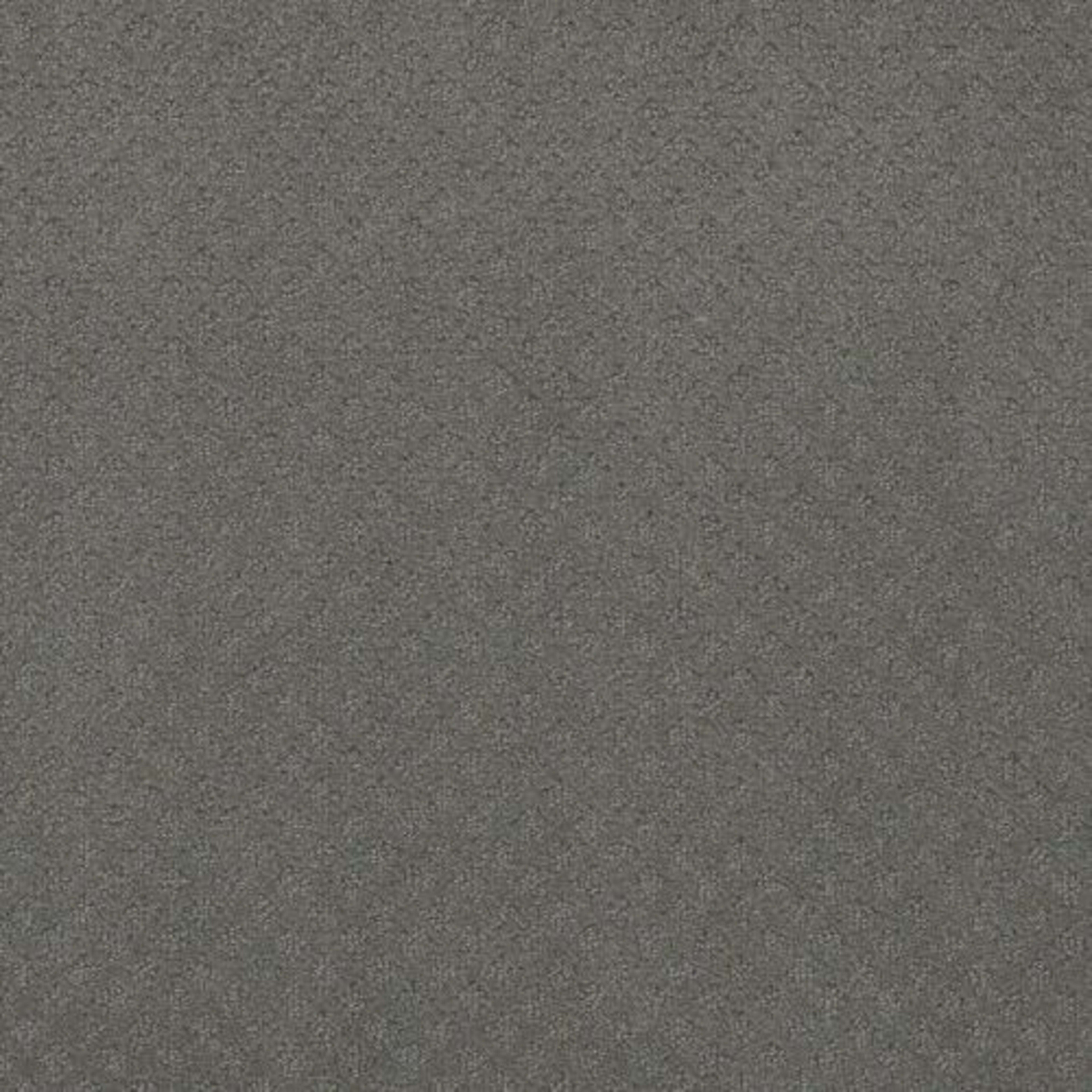 CASPIAN in Skyway Carpet