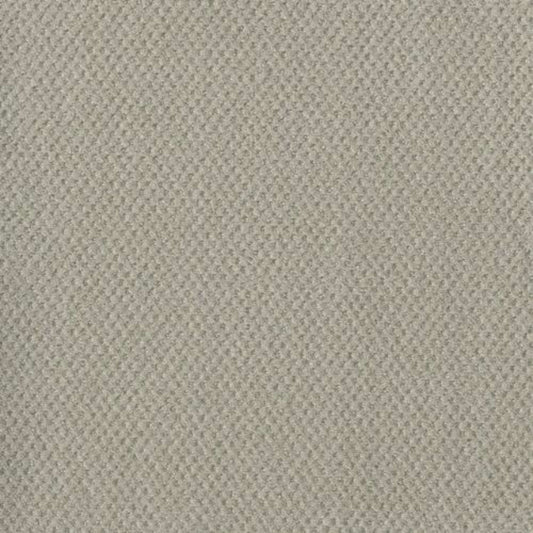 MOON BAY in Snow Cap Carpet
