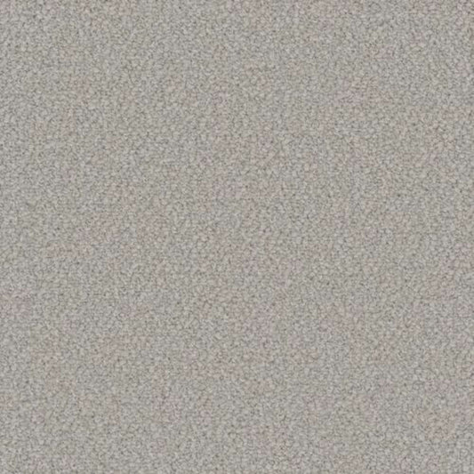 INTERSTELLAR in Snowfall Carpet