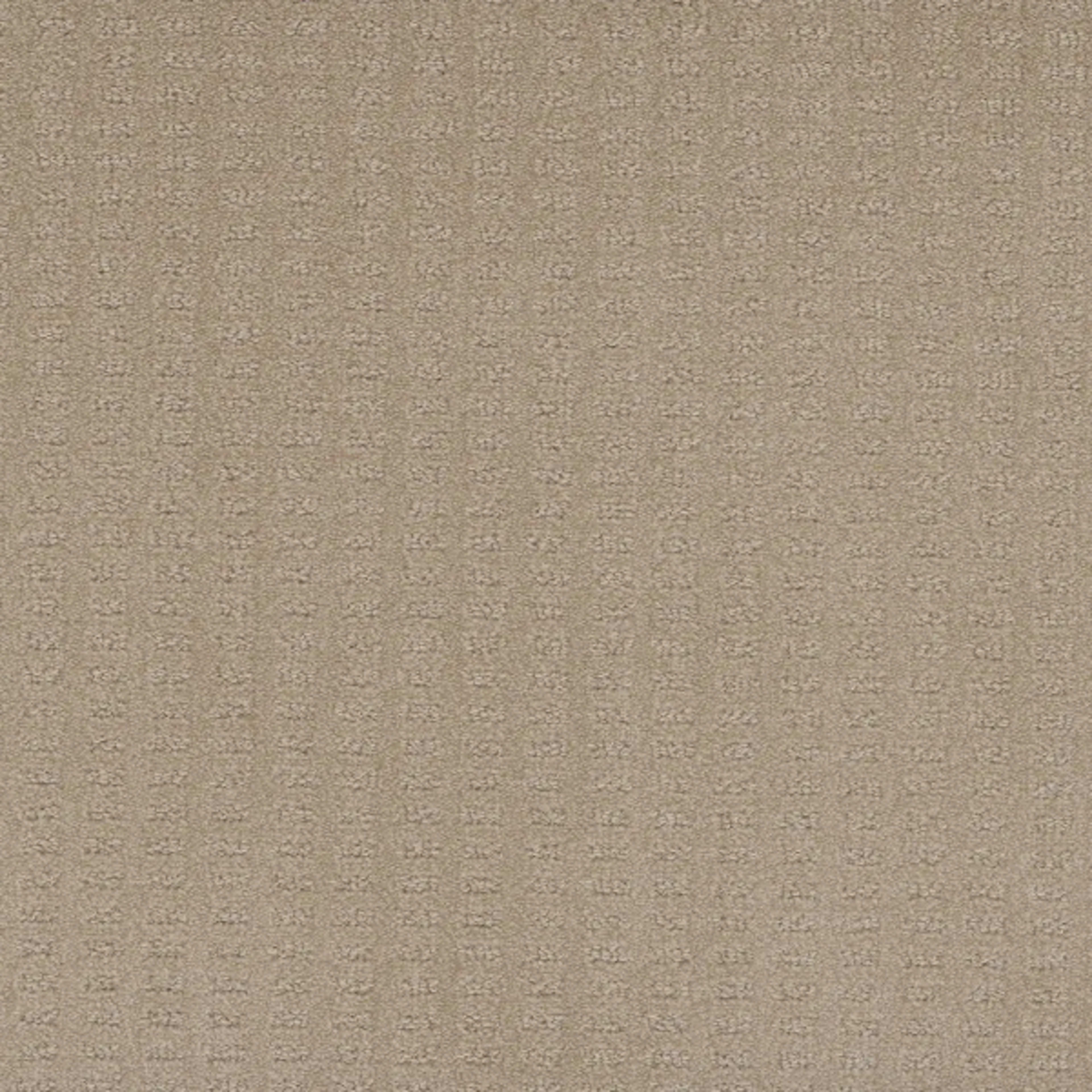 Superb in Soft Pine Carpet