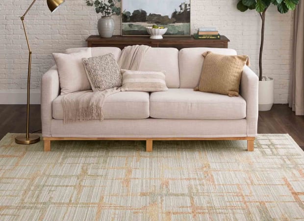 Souvenir Beige in Beige 10'X14'