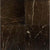 Marble Collection in St. Laurent Natural Stone