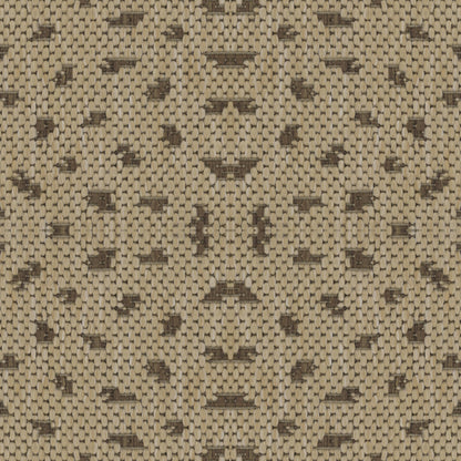 St. Vincent in Desert Carpet