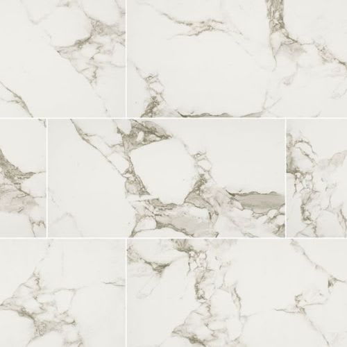 Pietra in Statuario - 12x24 Matte