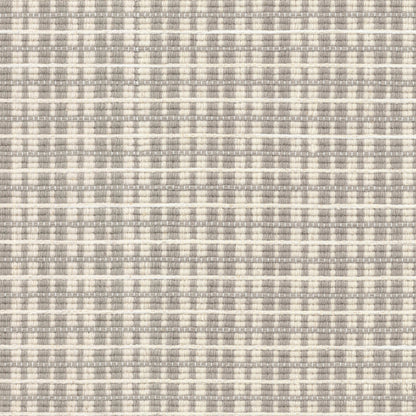 Summit in Mouse Carpet