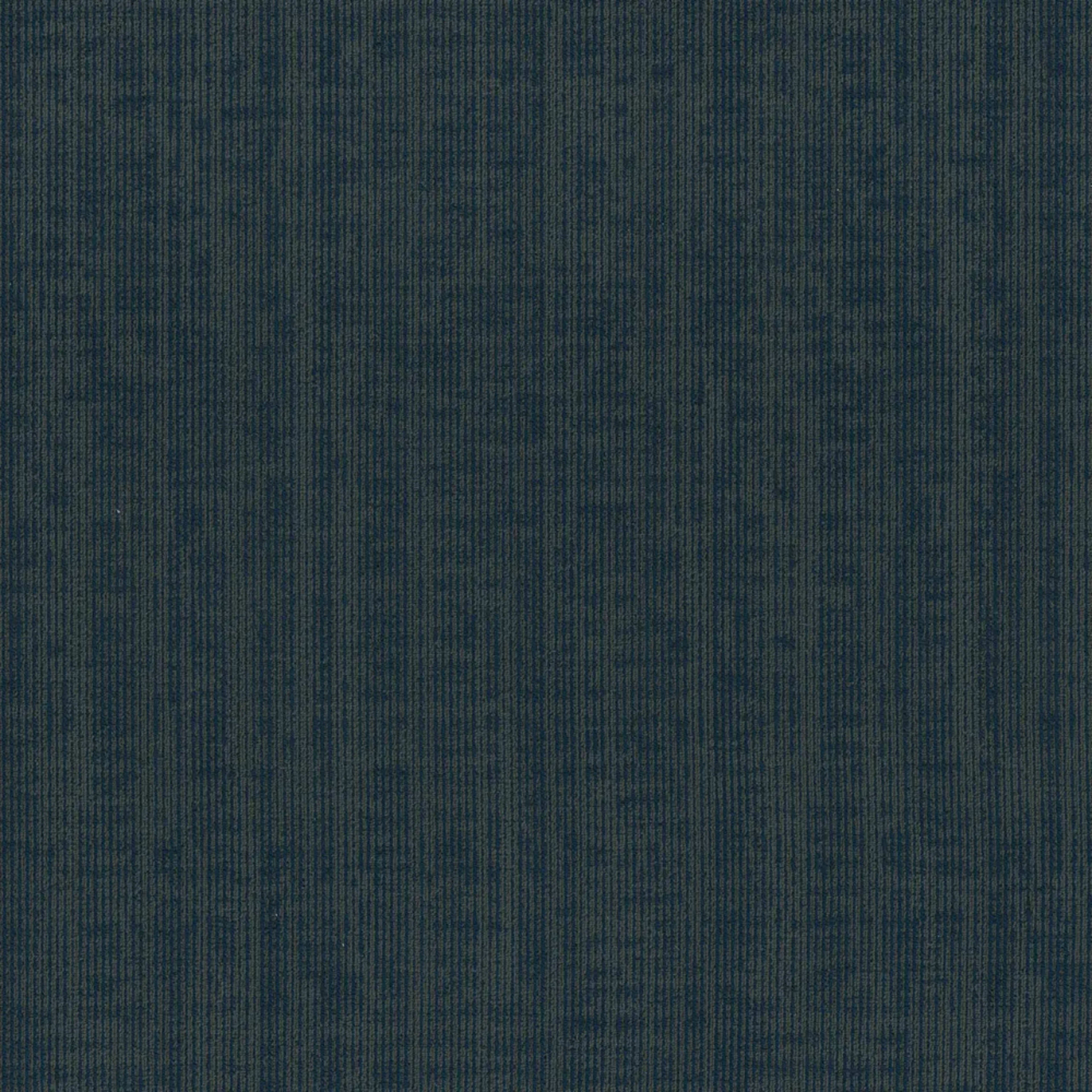 Omnia in Sure Thing Carpet
