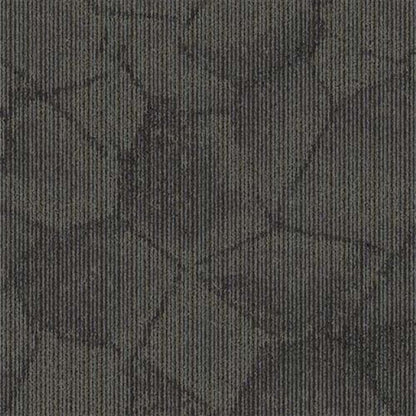 Fragments