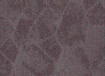 Fragments