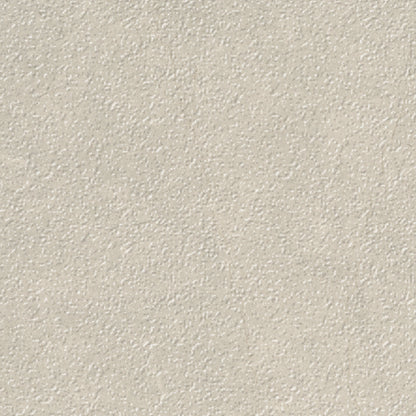 Tierra Halo in Vintage Texture 12x24 Natural Stone