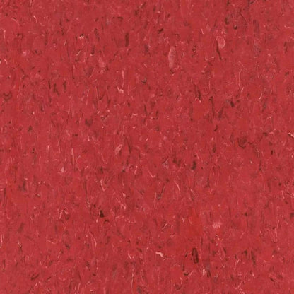VCT II in Matador Luxury Vinyl