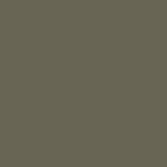 Carrolton Collection in Khaki Gloss - 4" X 12" Tile