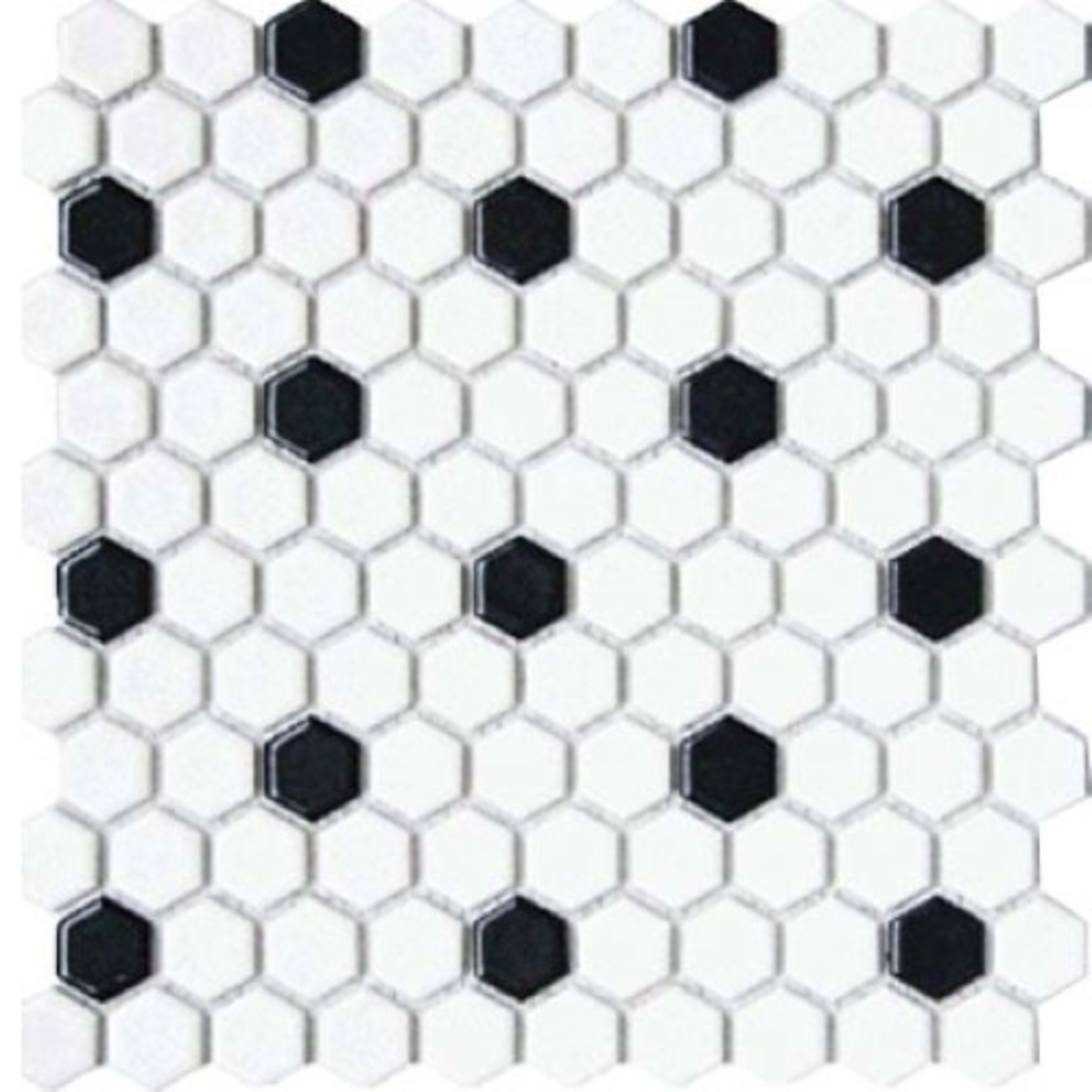 CC Mosaics Collection in Black & White Tile
