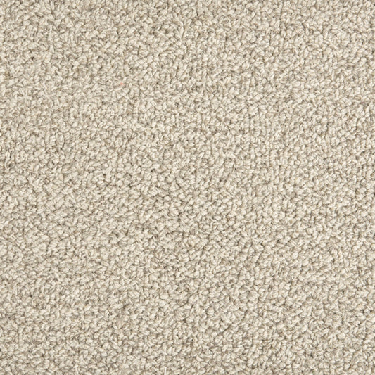 Trailblazer in Earl Grey Carpet