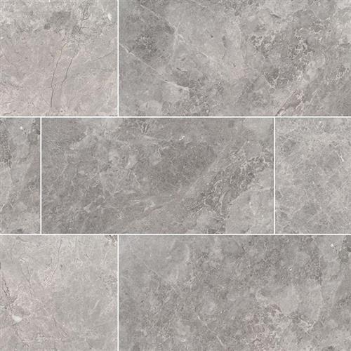 Tundra Gray in Tundra Gray - 12x12 Natural Stone