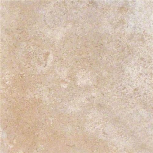 Tuscany Walnut in Tuswa-24x24 Natural Stone