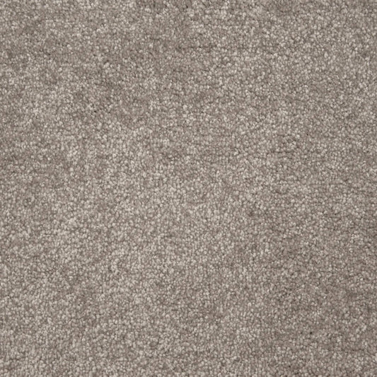 Throne in Metal Carpet