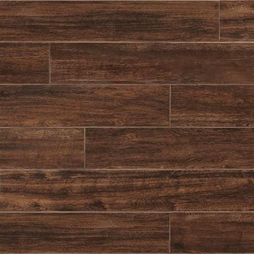 American Estates in Spice - 9x36 Tile