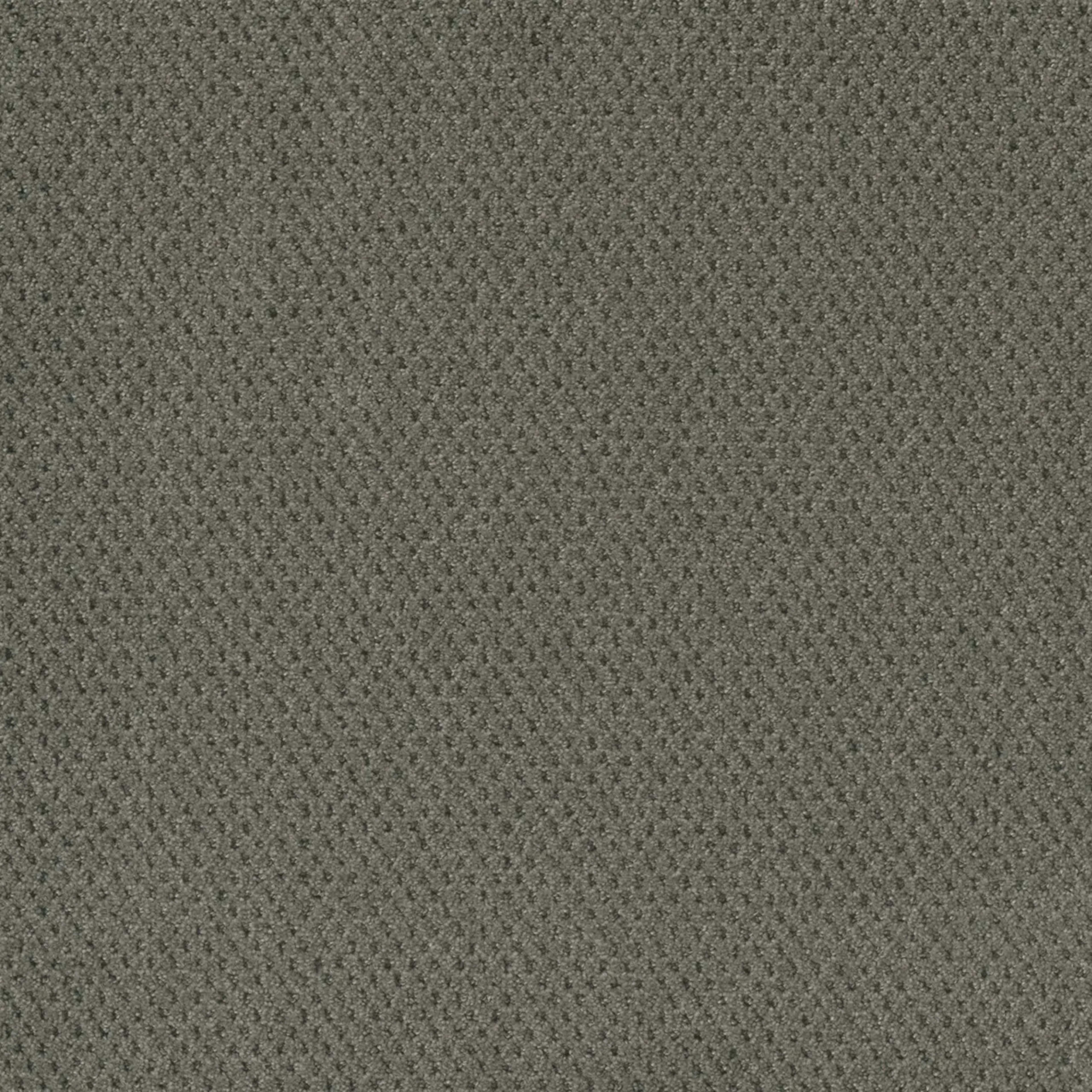 Prime in Ultramarine Carpet