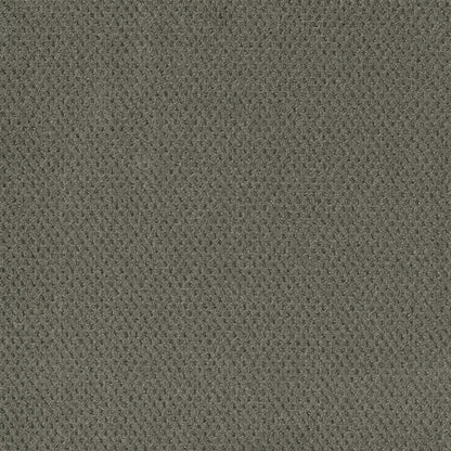 Prime in Ultramarine Carpet