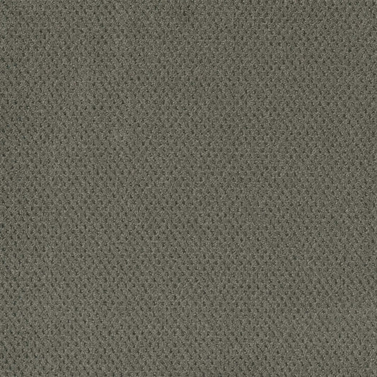 Prime in Ultramarine Carpet