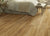 ANTICA HD PLUS in Foresta
