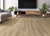 ANTICA HD PLUS in Tostata