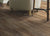 IMPACT PLUS in Modeled Oak