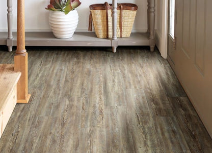 IMPACT PLUS in Tattered Barnbo