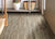 IMPACT PLUS in Tattered Barnbo
