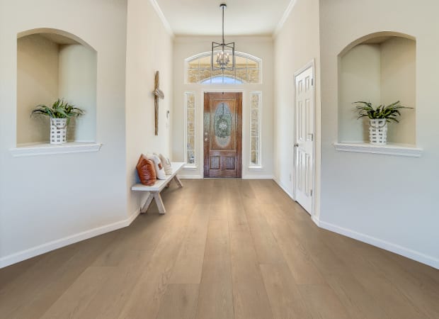 Homeward in Saddle Brown