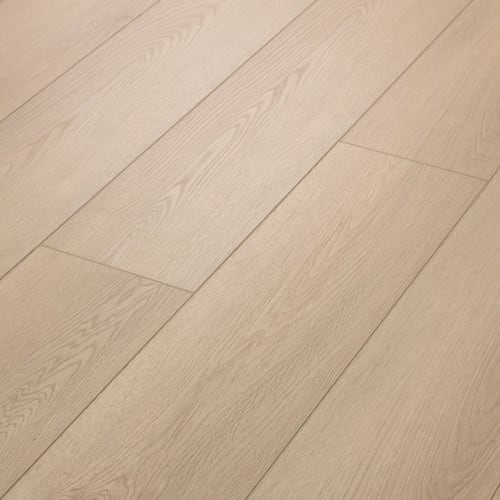 Starting Line in Sunlit Beige
