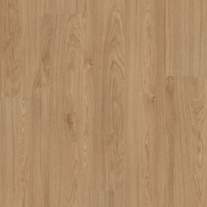 Alba Reserve Spc 4.0 in Honeycomb