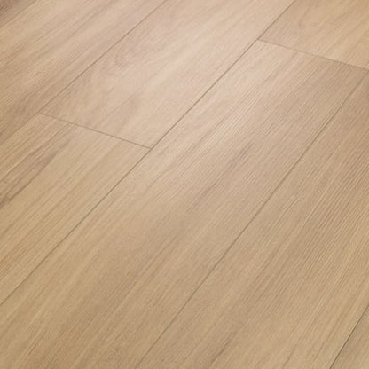 DISTINCTION PLUS in Hazelnut Brown