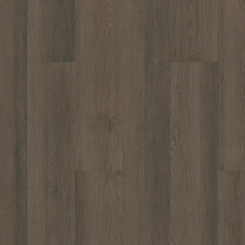 Indwell in Aged Barrel Oak