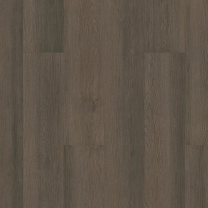 Indwell in Aged Barrel Oak