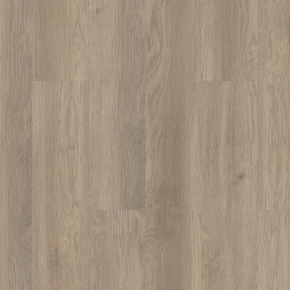 INDWELL 12 in Willow Oak